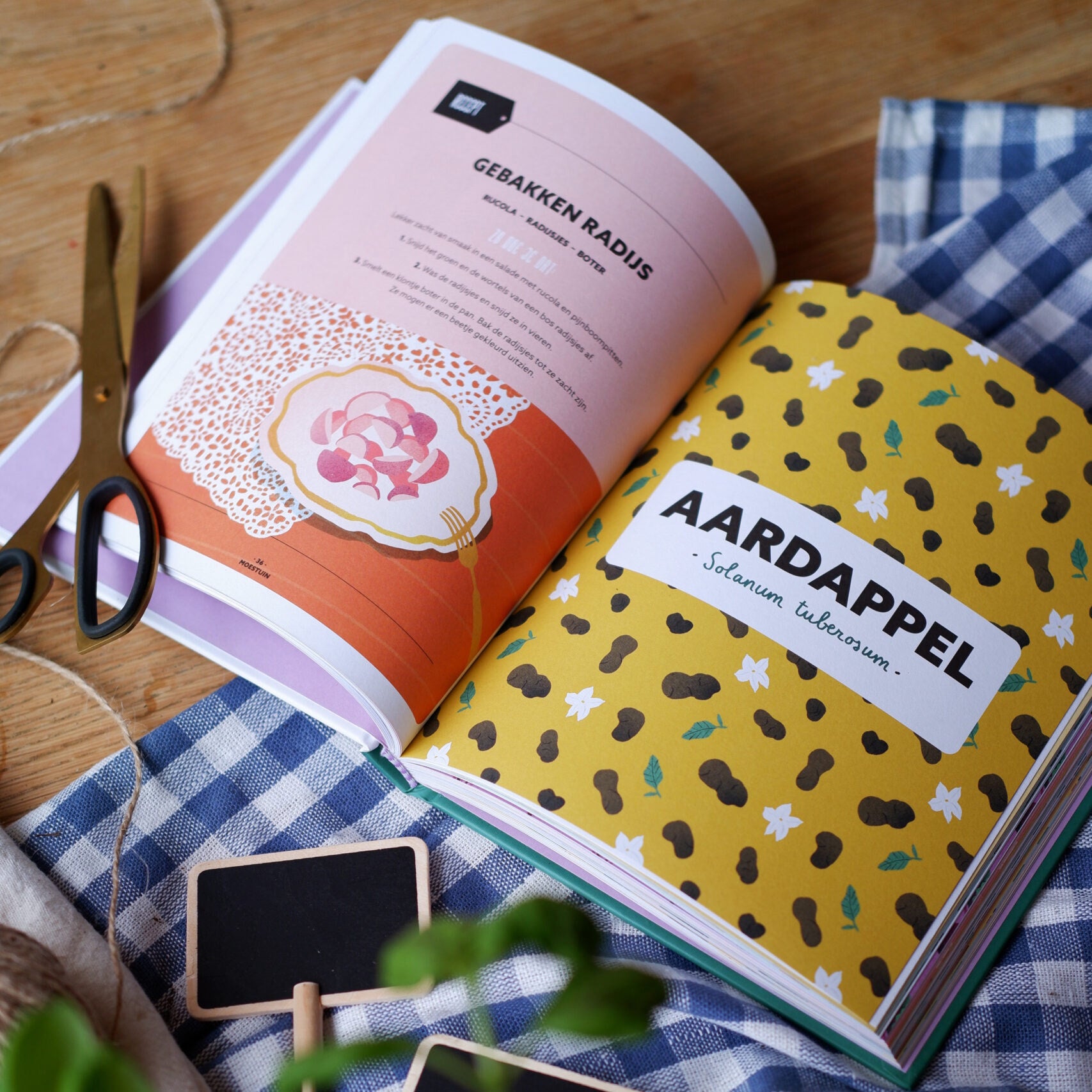 Boek "Moestuin&