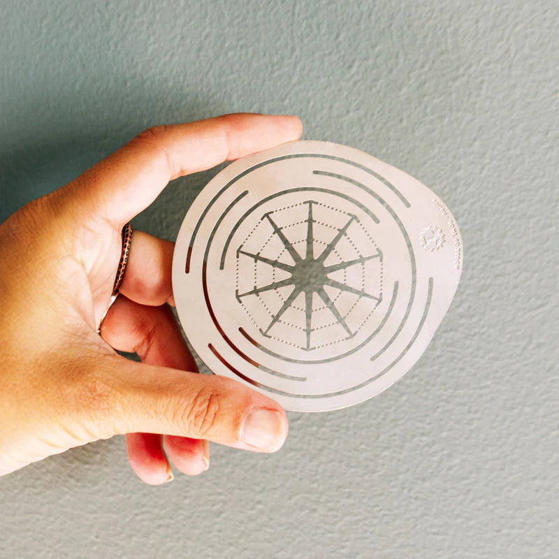 avocado-kweken-groeischijf-helios-inox