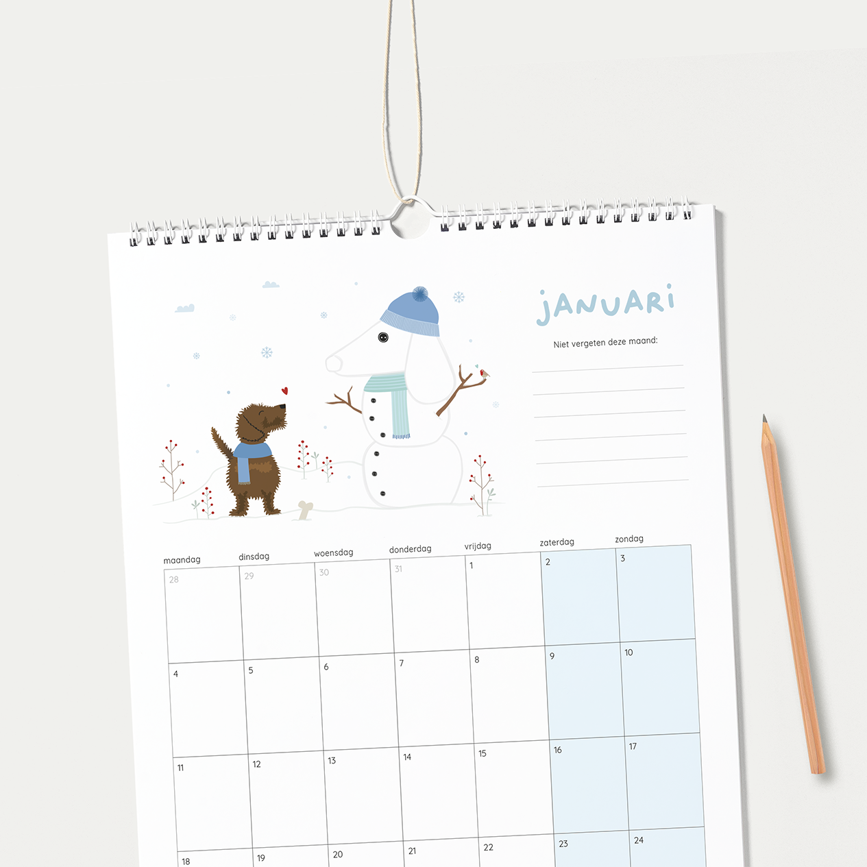 maandplanner teckel - Frits bouwt een teckel sneeuwpop in de sneeuw