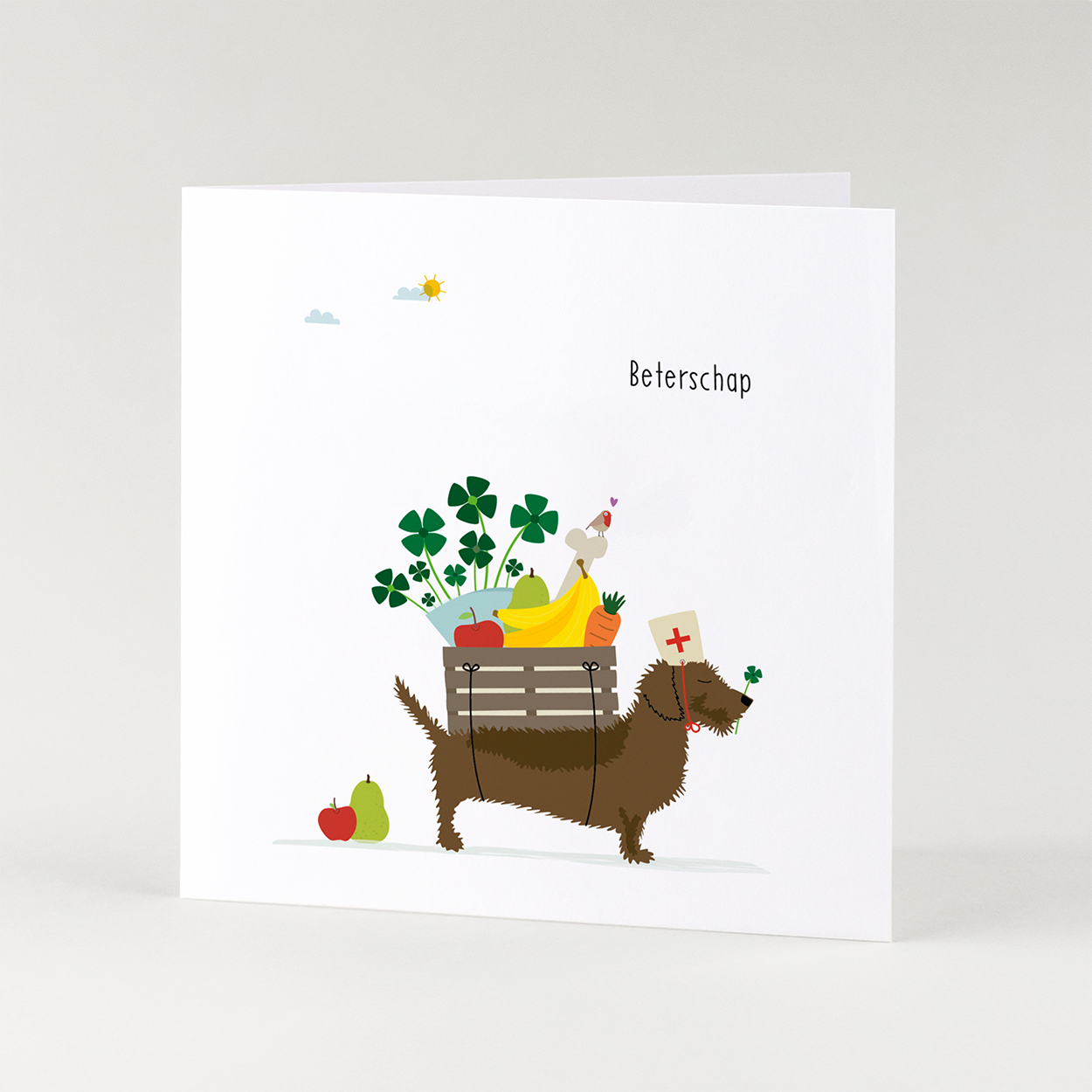 wenskaart-beterschap-teckel-fruitmand-geluk