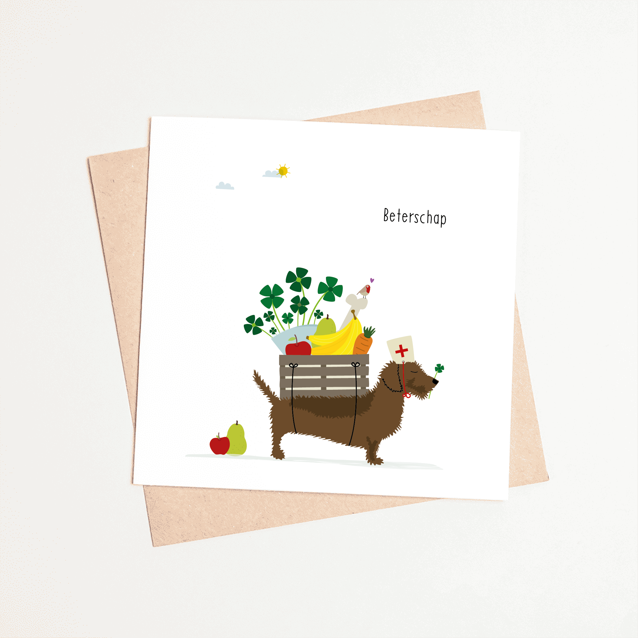 wenskaart-beterschap-teckel-fruitmand-ziekenhuis