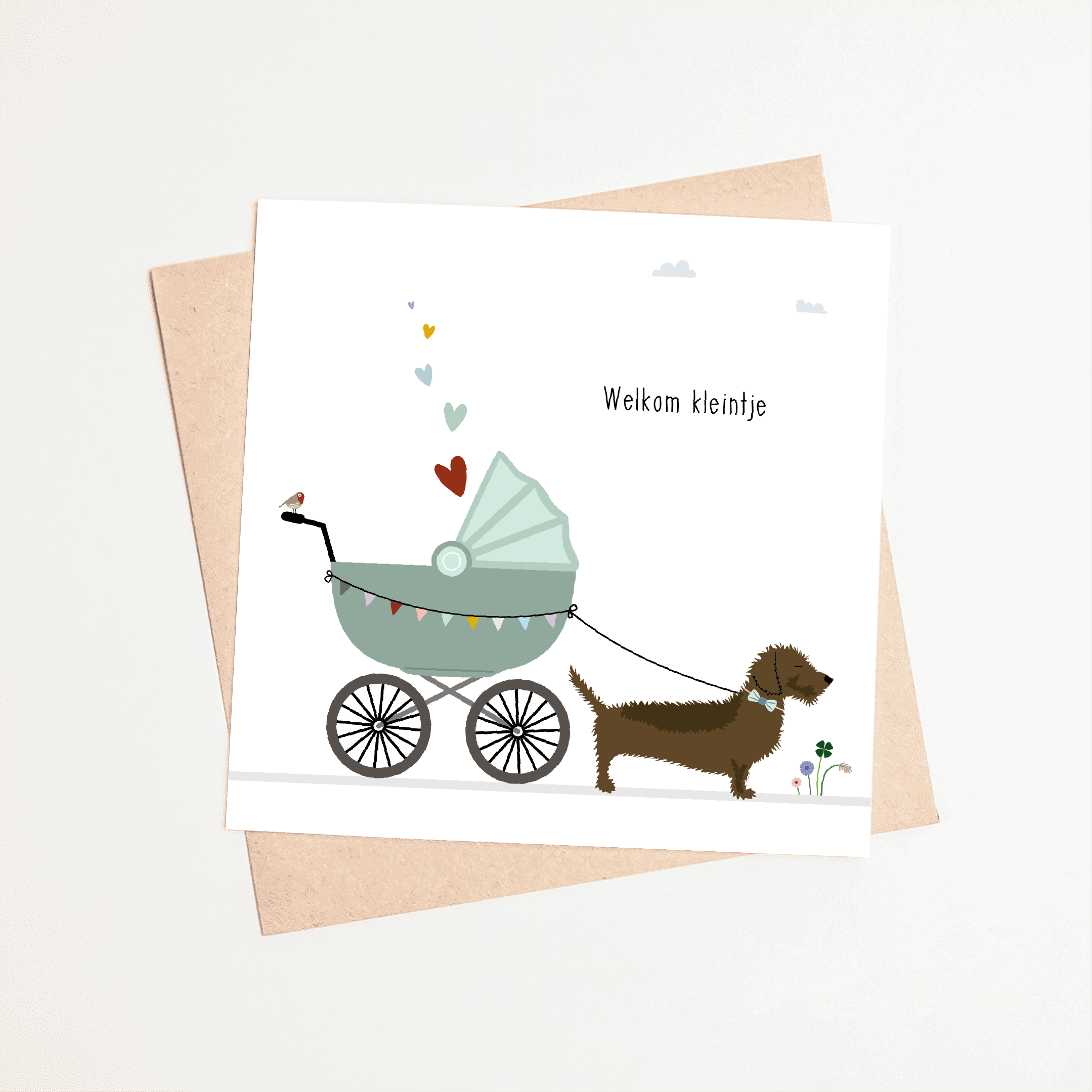 wenskaart-geboorte-teckel-adoptie-kinderwagen
