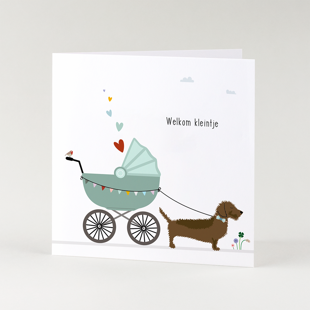 wenskaart-geboorte-teckel-adoptie-welkom