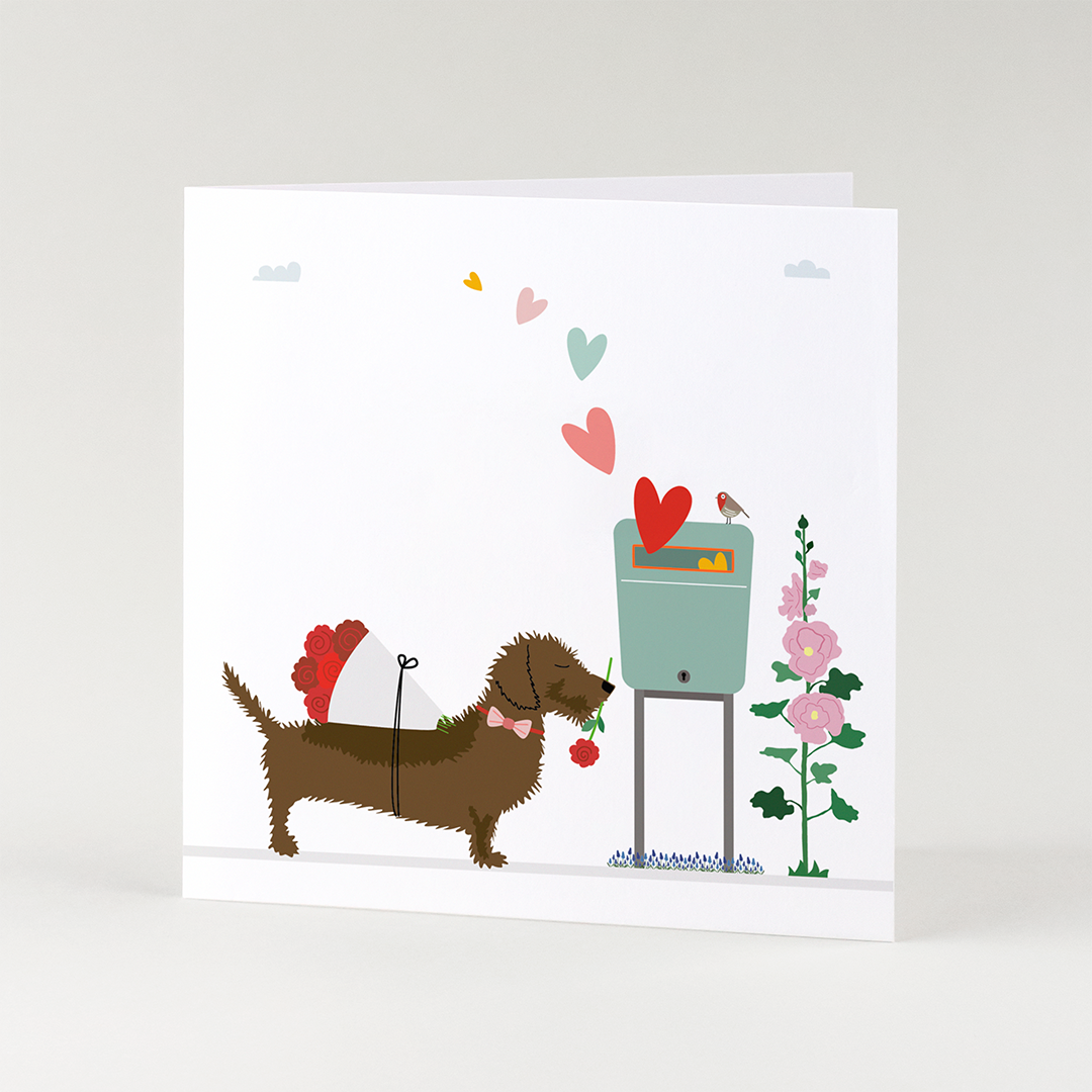 wenskaart-liefde-teckel-post-valentijn-brievenbus