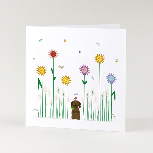 wenskaart-zonnebloemen-teckel-natuur