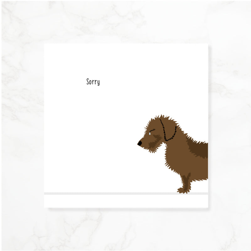 Greeting card dachshund Frits - Sorry