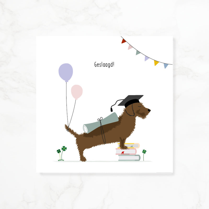 Greeting card dachshund Frits - Passed! (books)