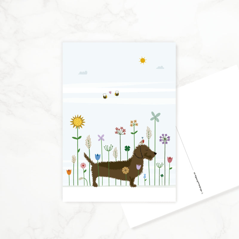 Postcard Dachshund &