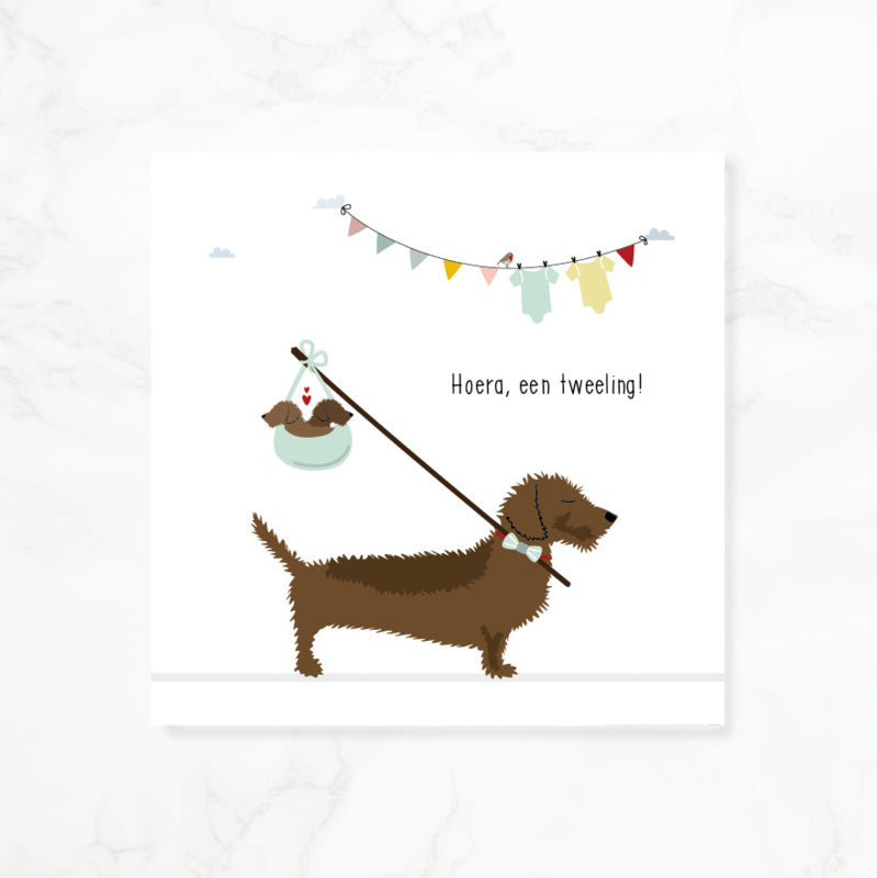 Greeting card dachshund Frits - Hooray, twins!