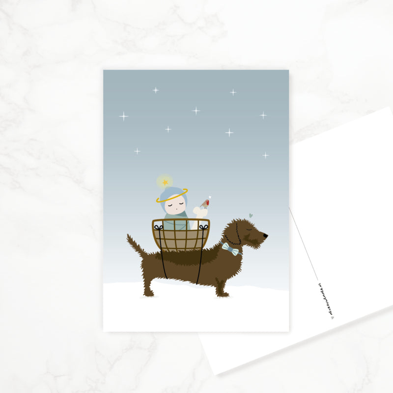 Postcard Dachshund &