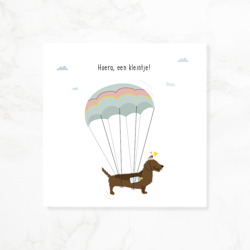 Greeting card dachshund Frits - Hooray, a little one! (parachute)