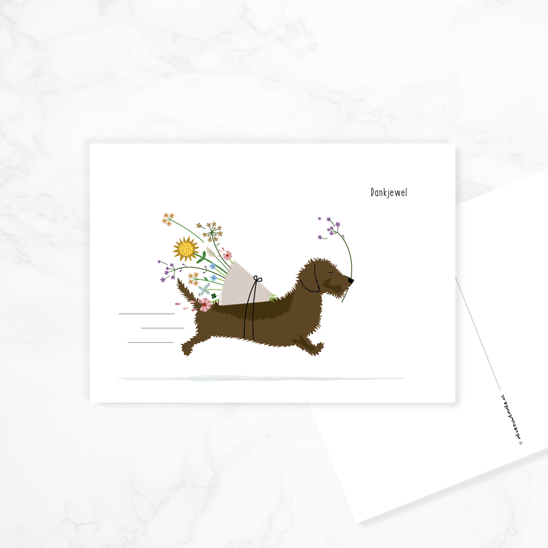 Postcard Dachshund &