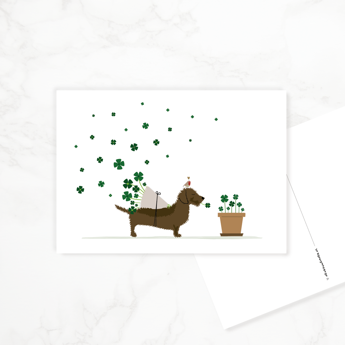 Postcard Dachshund &