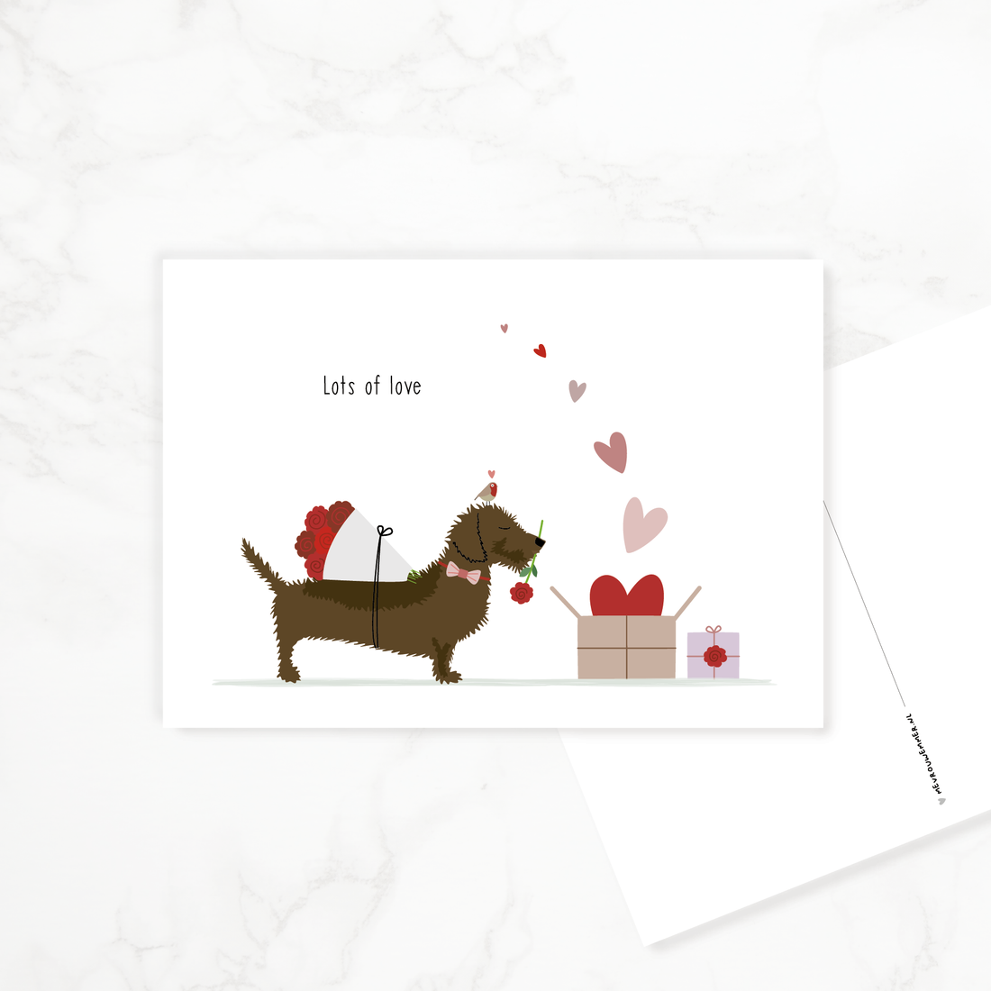 Postcard Dachshund &