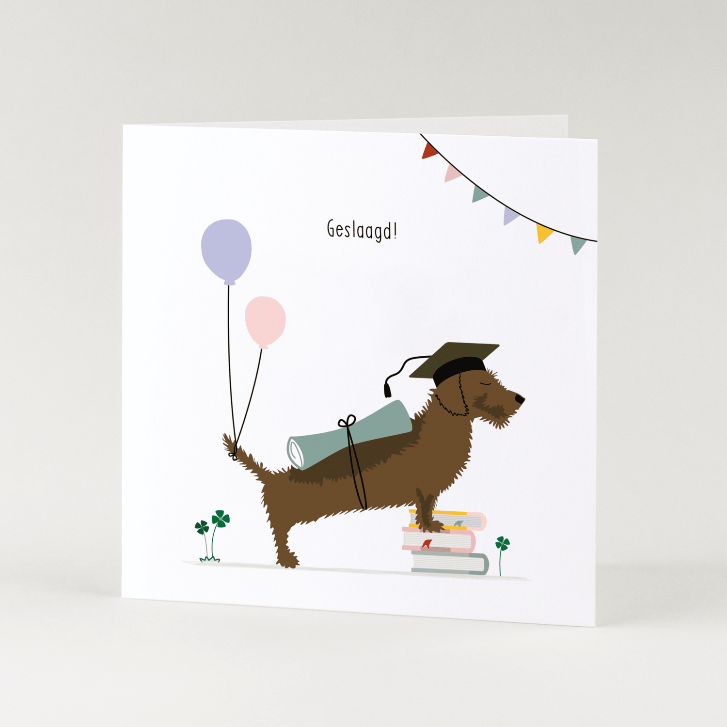 Greeting card dachshund Frits - Passed! (books)