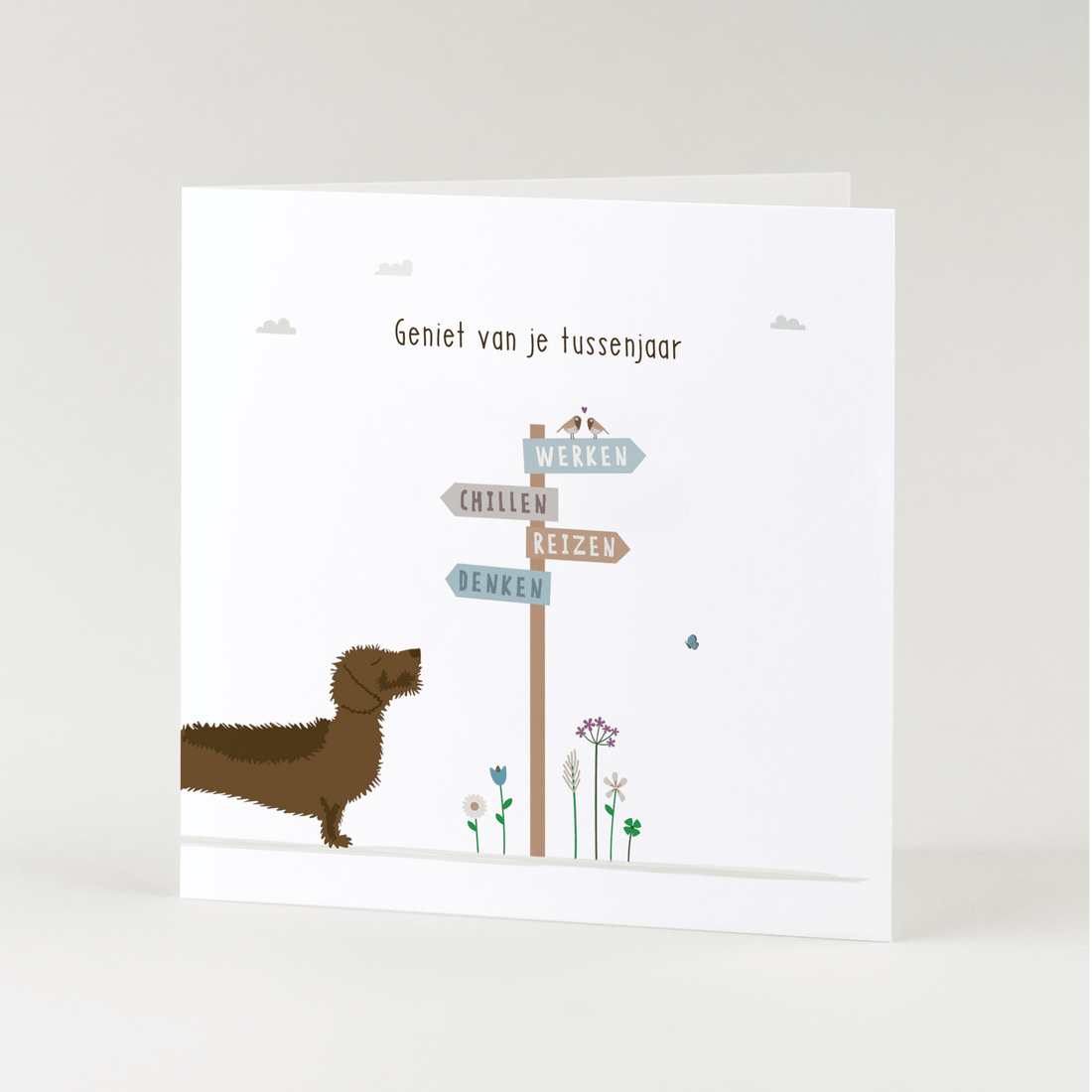 Greeting card dachshund Frits - Enjoy your gap year