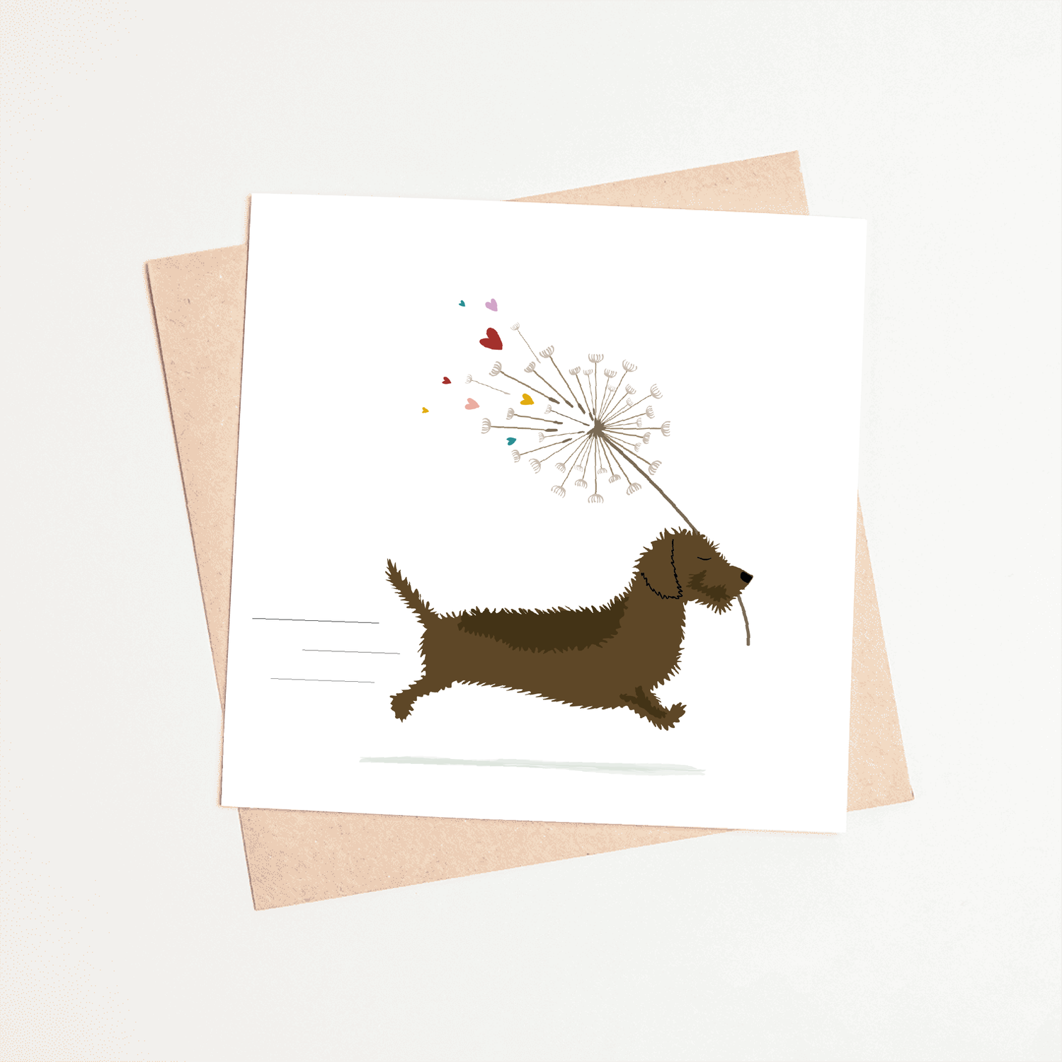 Greeting card dachshund Frits - Fluffy ball with hearts