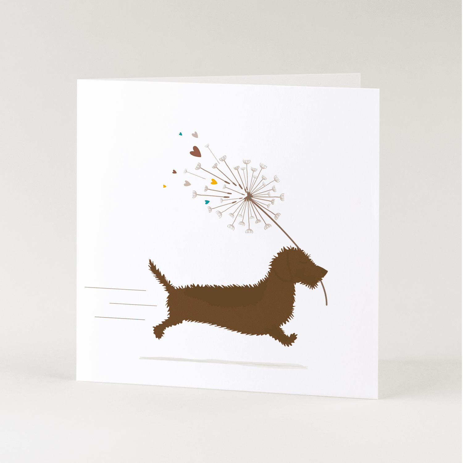 Greeting card dachshund Frits - Fluffy ball with hearts