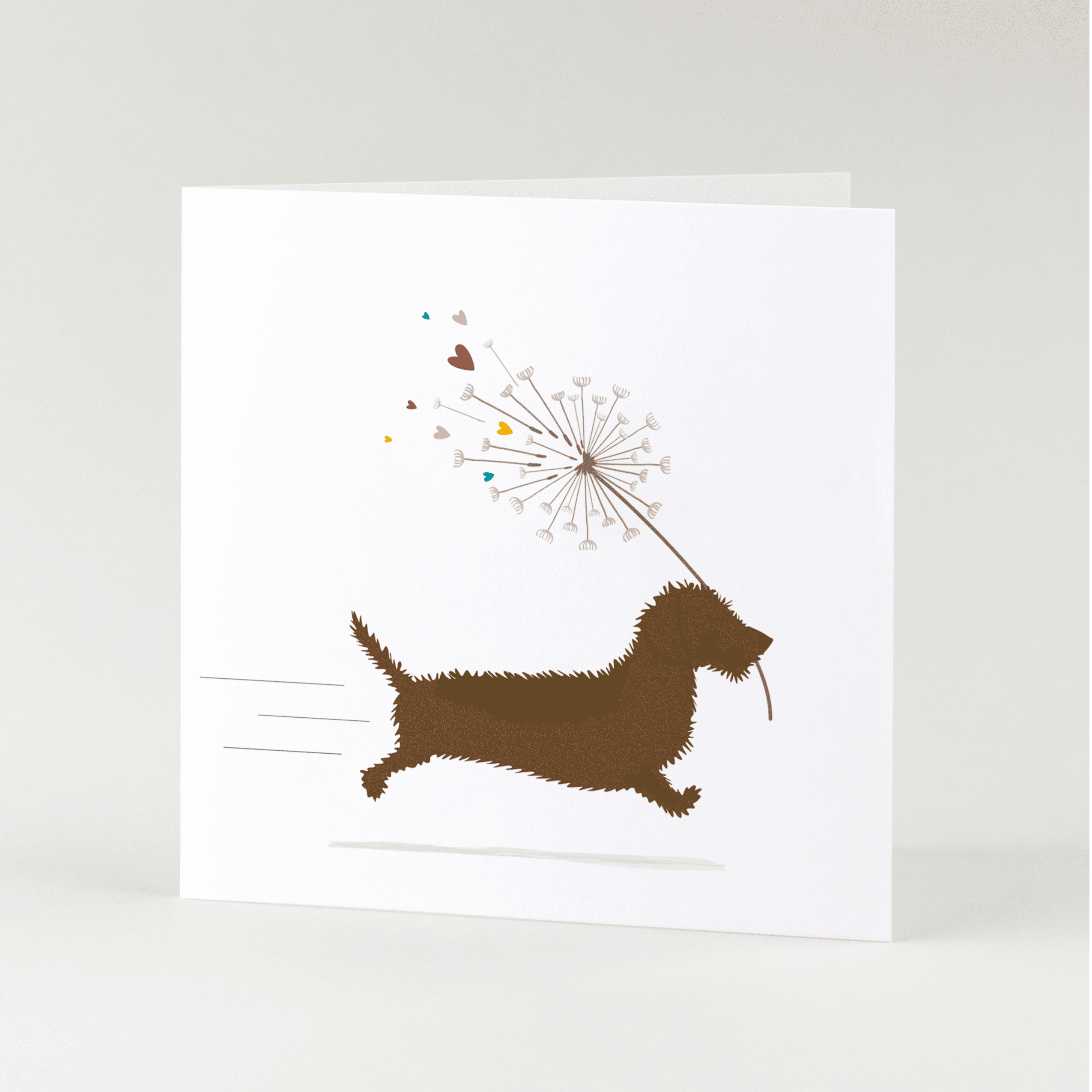 Greeting card dachshund Frits - Fluffy ball with hearts