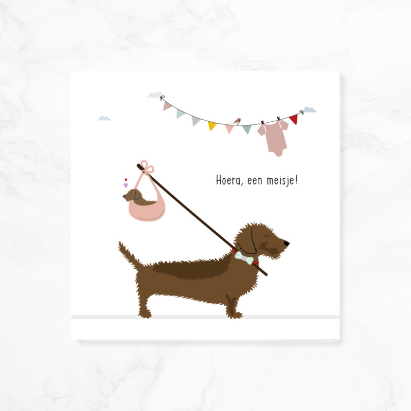 Greeting card dachshund Frits - Hooray, a girl! (knapsack)