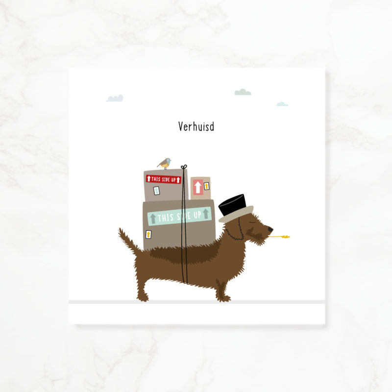 Greeting card dachshund Frits - Moved