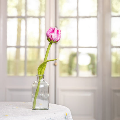 bloem-tulp-flora-korting