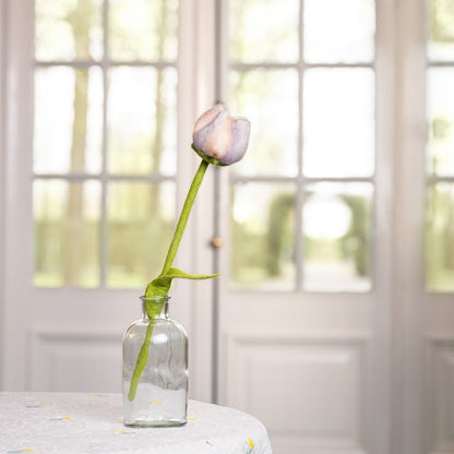 bloem-tulp-livia-korting