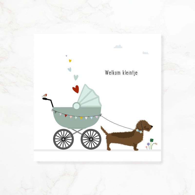 Greeting card dachshund Frits - Welcome little one