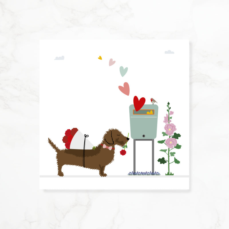 Greeting card dachshund Frits - Post full of love