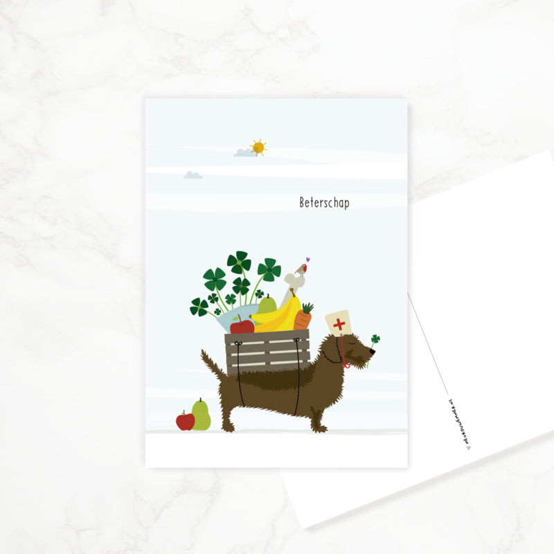 Postcard Dachshund &