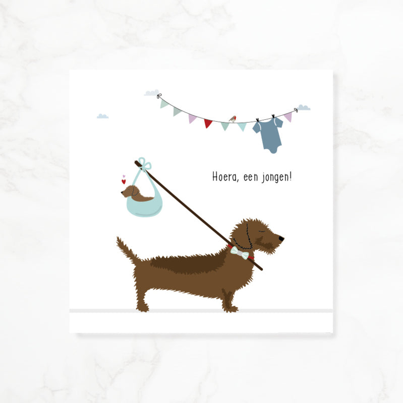 Greeting card dachshund Frits - Hooray, a boy! (knapsack)