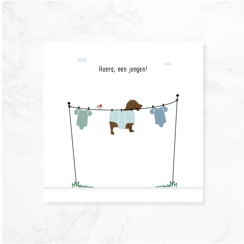 Greeting card dachshund Frits - Hooray, a boy!