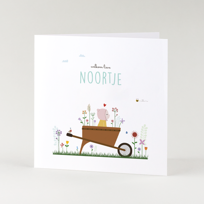 geboortekaartje met baby in bloemenveld en tuinbloemen illustratie