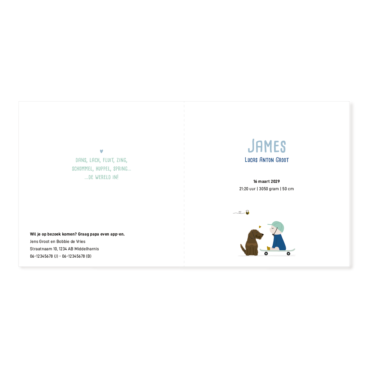 Geboortekaartje jongen met hond op skateboard en baby, illustratie met Hollandse stad en molen.