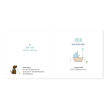 Geboortekaartje jongen met baby in wieg en hond ernaast, illustratie met bloemen en ballon in zachte kleuren.