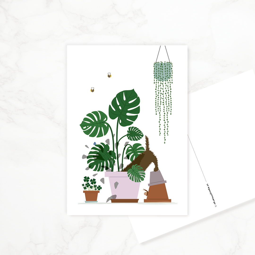 kaartje-zomaar-teckel-monstera-planten