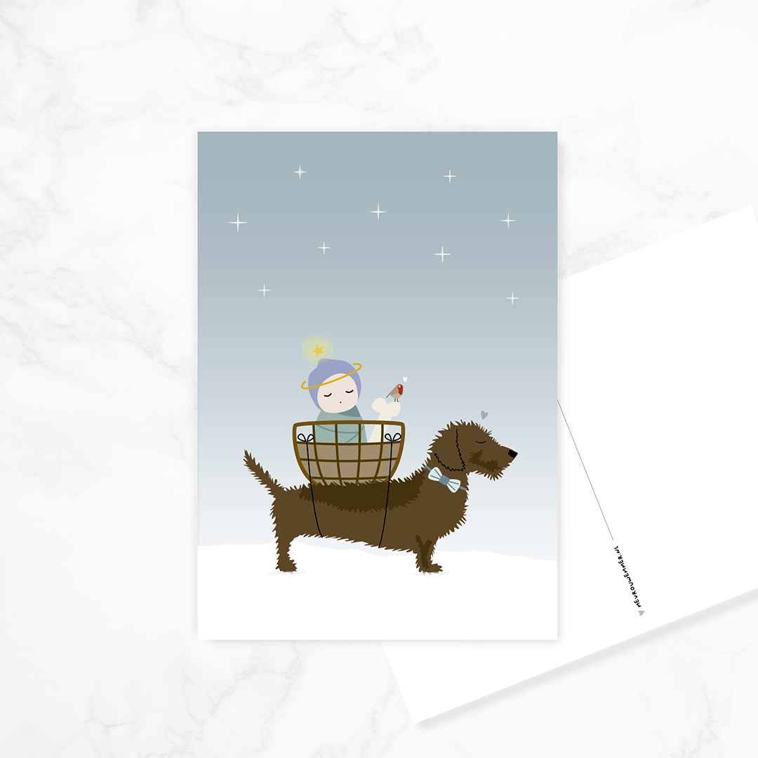 kerstkaart-teckel-teckel-kerstkindje-sterren