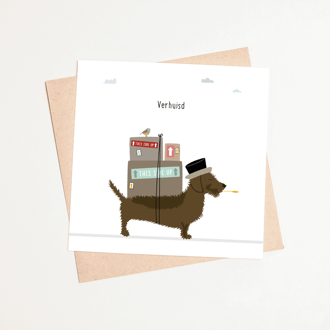 wenskaart-verhuizen-teckel-dozen